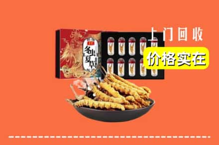 济南长清区回收冬虫夏草