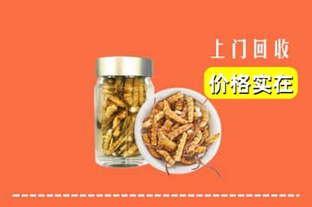 收购资讯:济南长清区回收散虫草