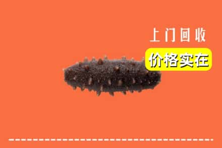 收购资讯:济南长清区回收海参
