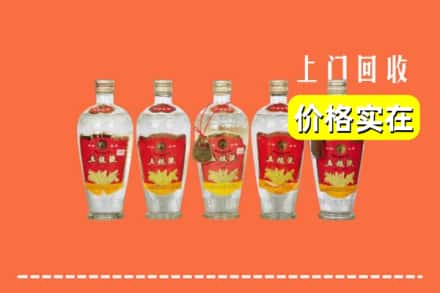 济南长清区回收老五粮液